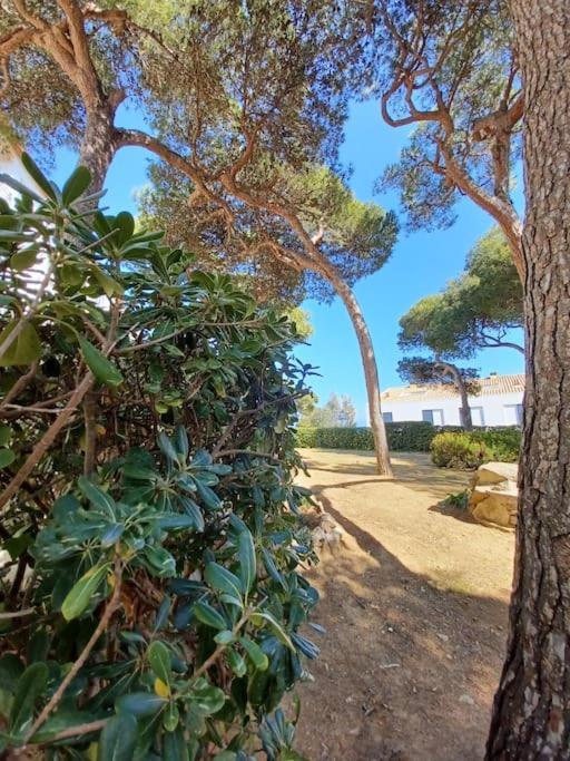 Apartamento Roc Mar Llafranc Extérieur photo